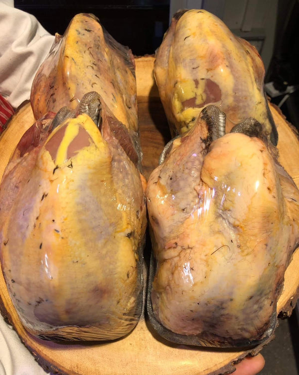 Pheasant (Each)