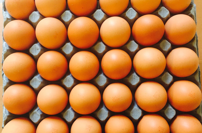 Tray of 30 Large Eggs – Gregorich Butchery